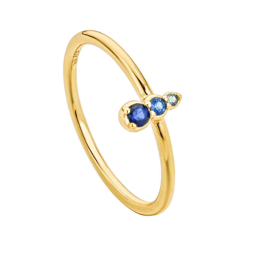 Niru CZ Gold Sapphire Ring - P I C N I C 