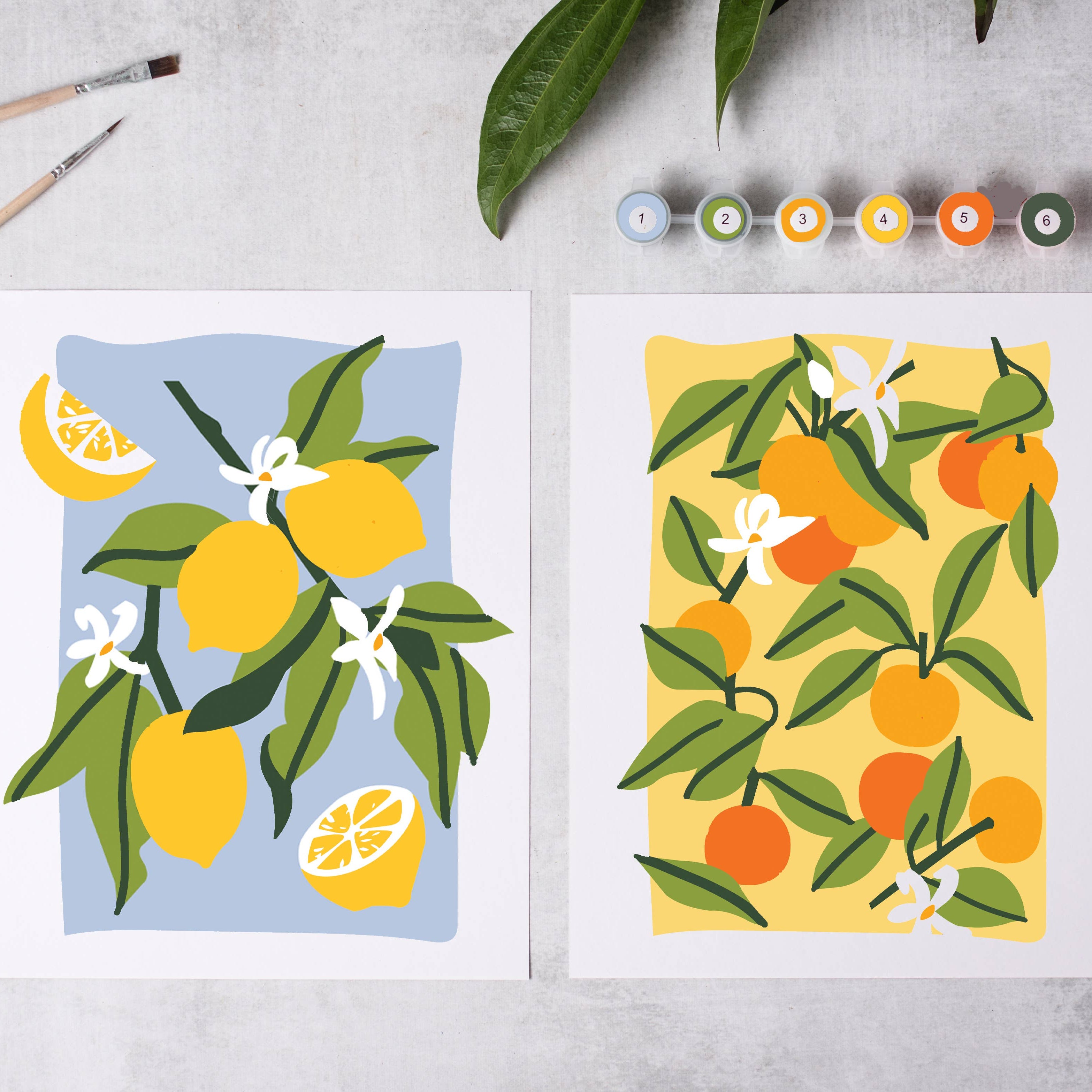 Sunny Citrus Paint-By-Numbers kit - P I C N I C