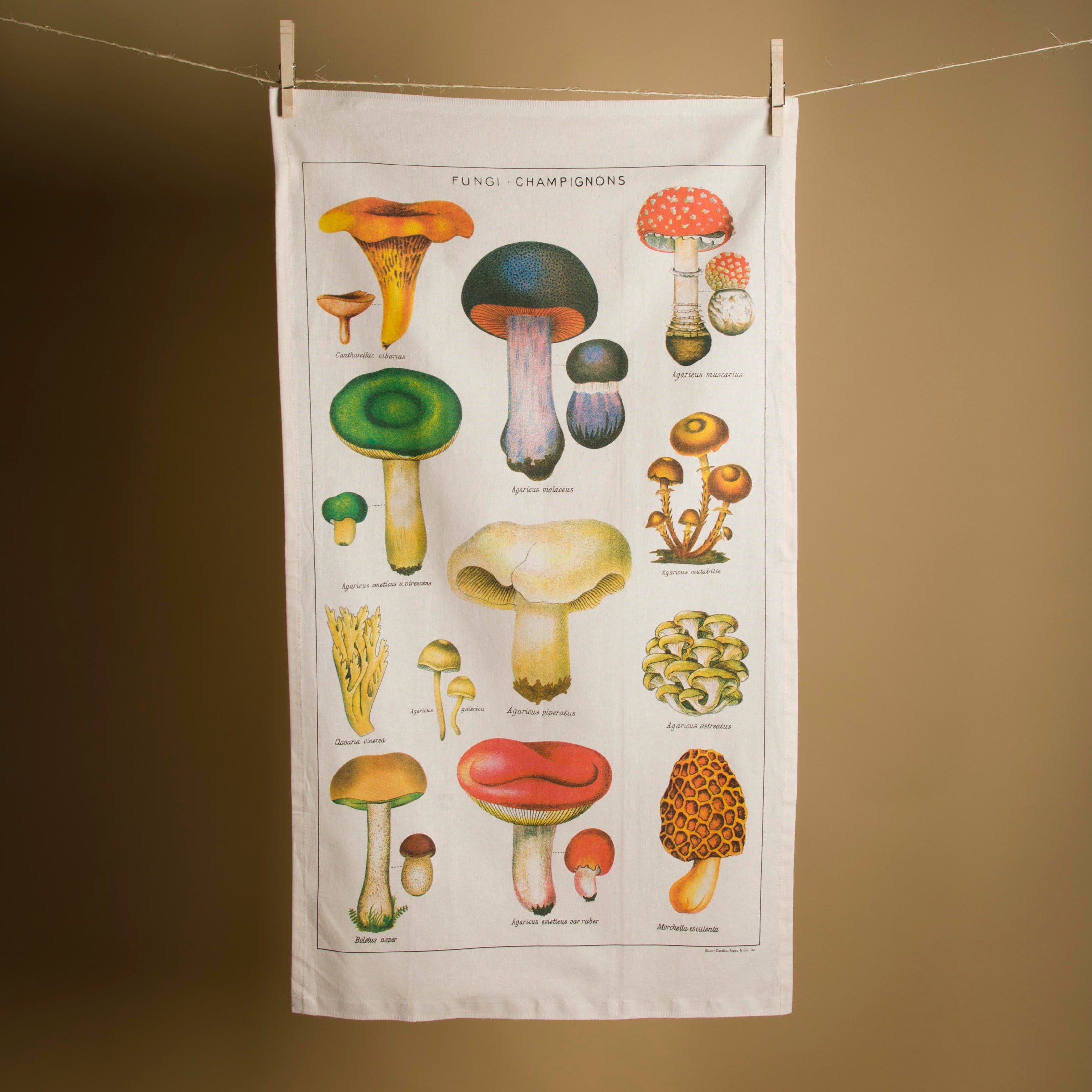 Mushrooms Tea Towel - P I C N I C 